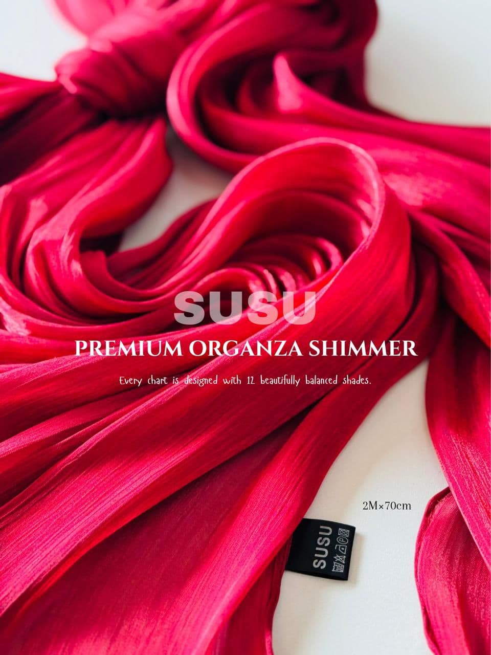 Premium Organza Shimmer Shawl alternate view
